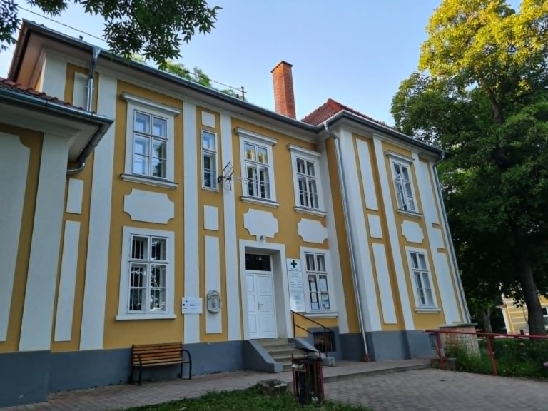 Romhányi Gyula, Nézsa első gyógyszerésze, és községünk patikájának alapítása